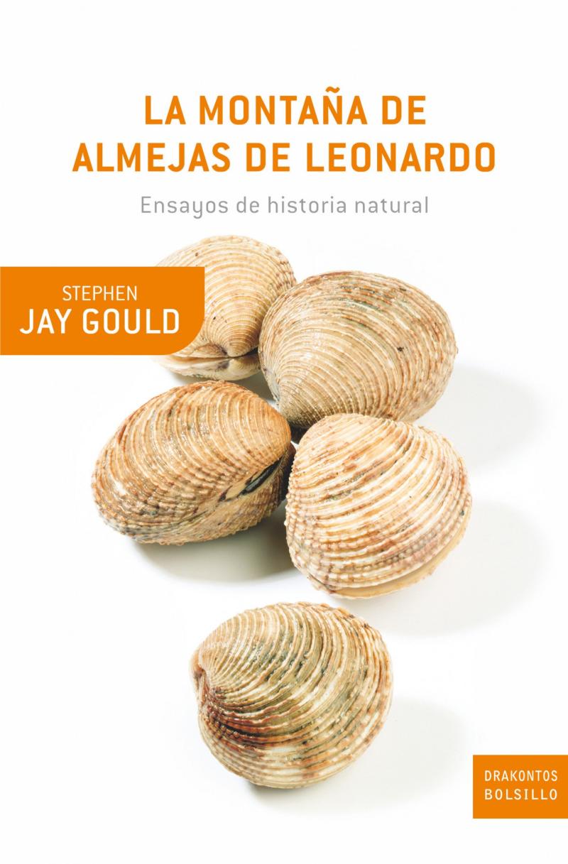 Portada del libro LA MONTAÑA DE ALMEJAS DE LEONARDO