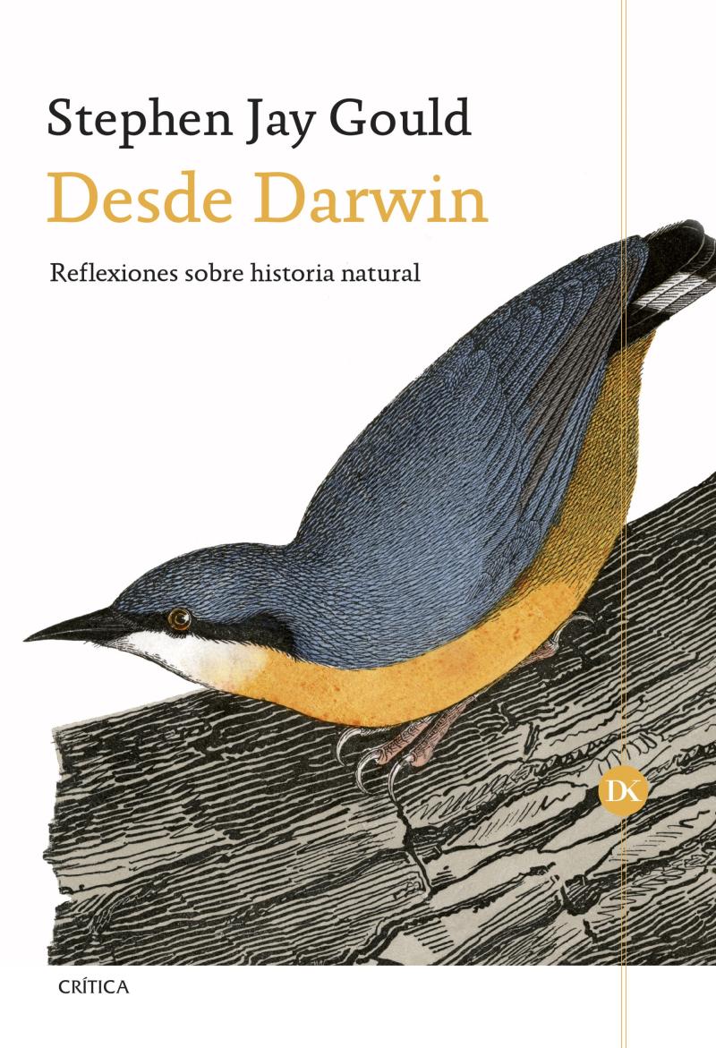 Portada del libro DESDE DARWIN - REFLEXIONES SOBRE HISTORIA NATURAL