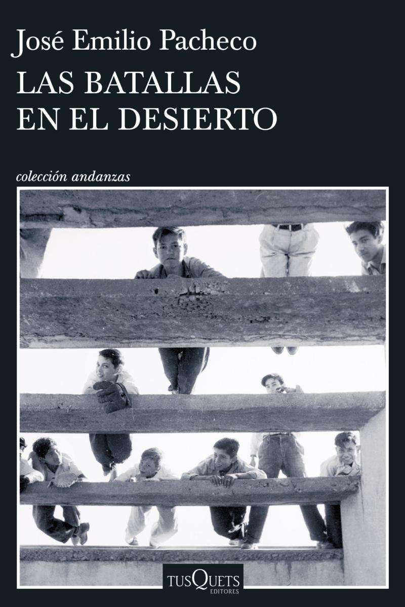 Portada del libro LAS BATALLAS EN EL DESIERTO