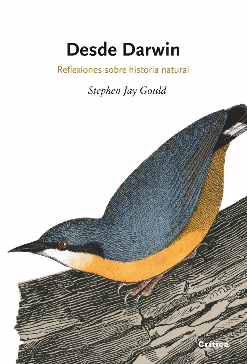 Portada del libro DESDE DARWIN - REFLEXIONES SOBRE HISTORIA NATURAL